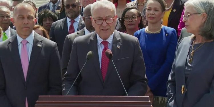 The ‘F-word’: Schumer says Trump’s first 100 days can be distilled to single utterance