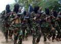 Republican senators move to block Somalia terror funding until allies pay ‘fair share’