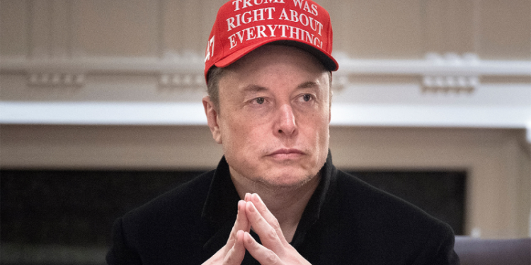 Top 5 most outrageous ways the government has wasted your taxes, as uncovered by Elon Musk’s DOGE