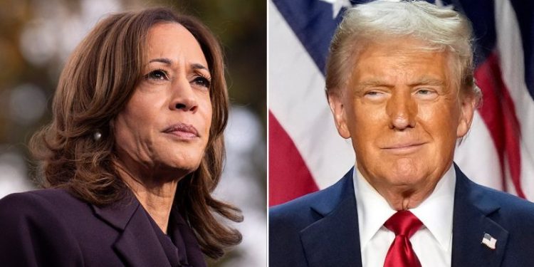 Dems drop $20M on bizarre ‘American men’ strategy plan study in effort to dig out of 2024 political hole