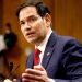 Rubio hails Trump as ‘only leader in the world’ who can broker Ukraine peace deal after talks
