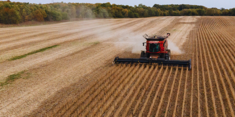 Once a trade war weapon, US soybeans return to China’s shopping list