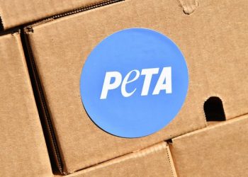 DAN GAINOR: The 5 craziest stories of October — from Karine Jean-Pierre to PETA plaques