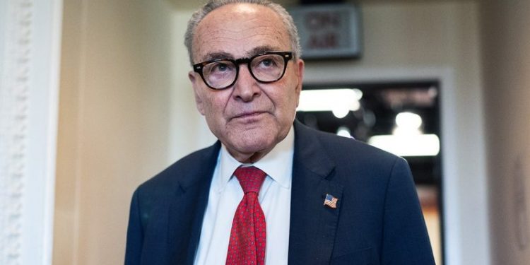 Democrats, left empty-handed in shutdown, turn fury on Schumer