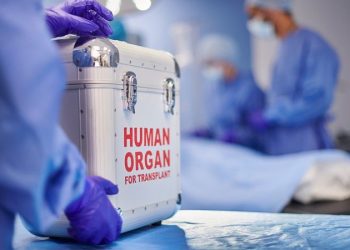 Biden-era regulation on the chopping block as Trump-aligned legal group warns of ‘DEI lens’