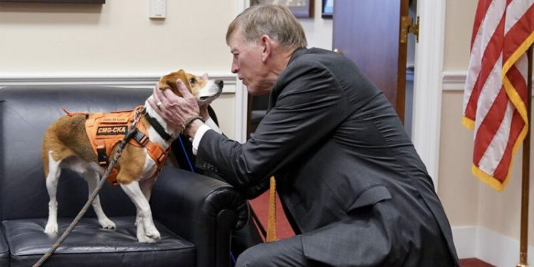 GOP targets transgender animal testing in defund demand to NIH