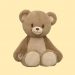 Build-A-Bear recalls roughly 36,000 Heart-Warming Hugs Bears